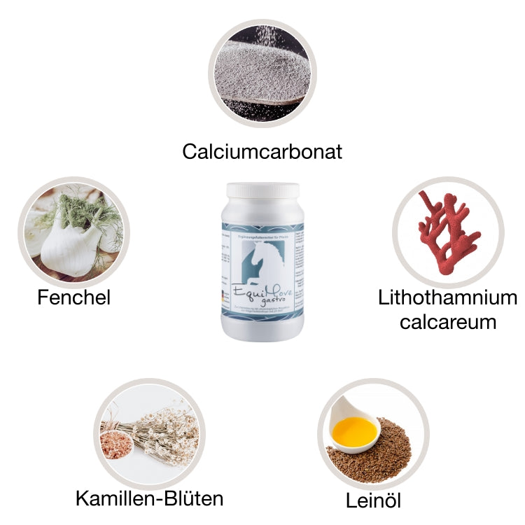 EquiMove gastro