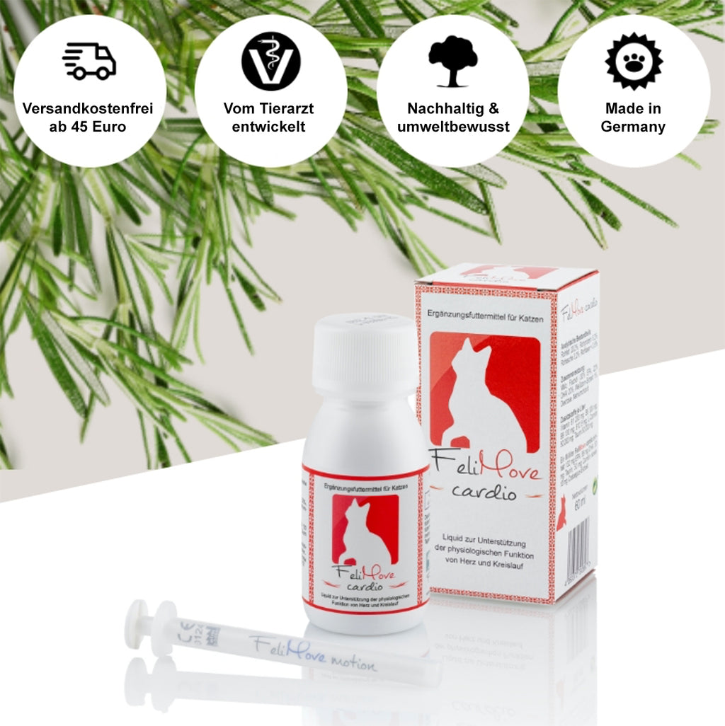 FeliMove cardio