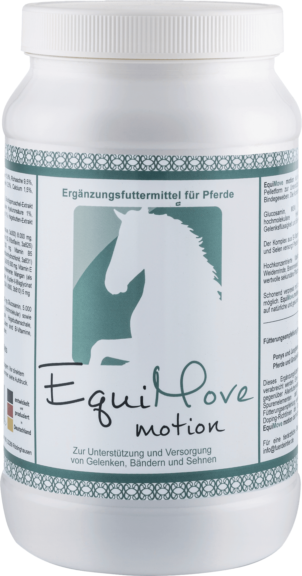EquiMove motion