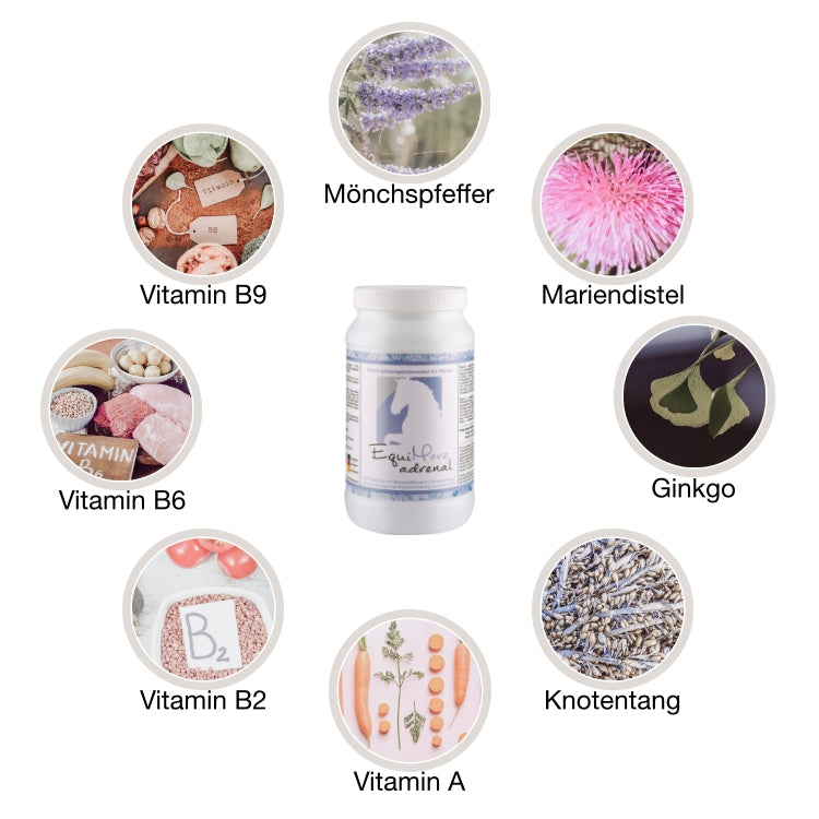 EquiMove adrenal