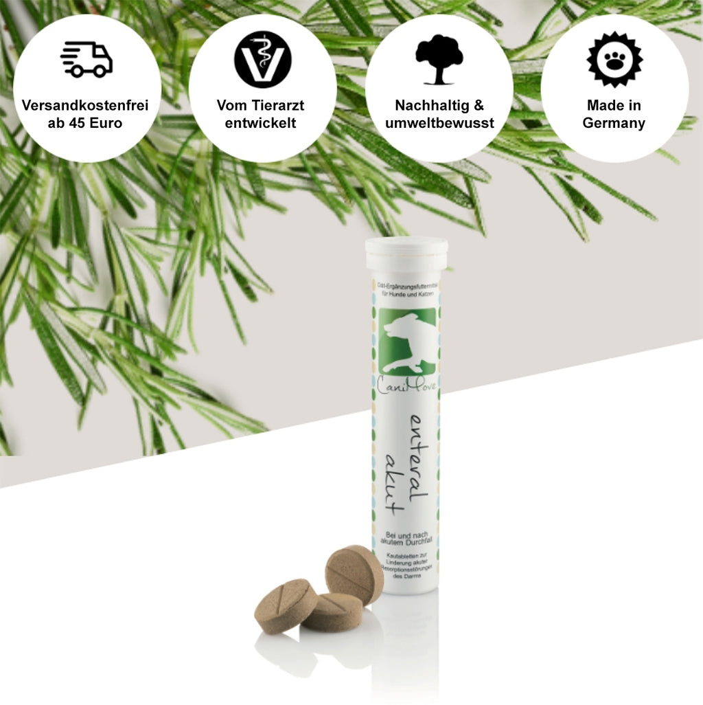 CaniMove enteral akut