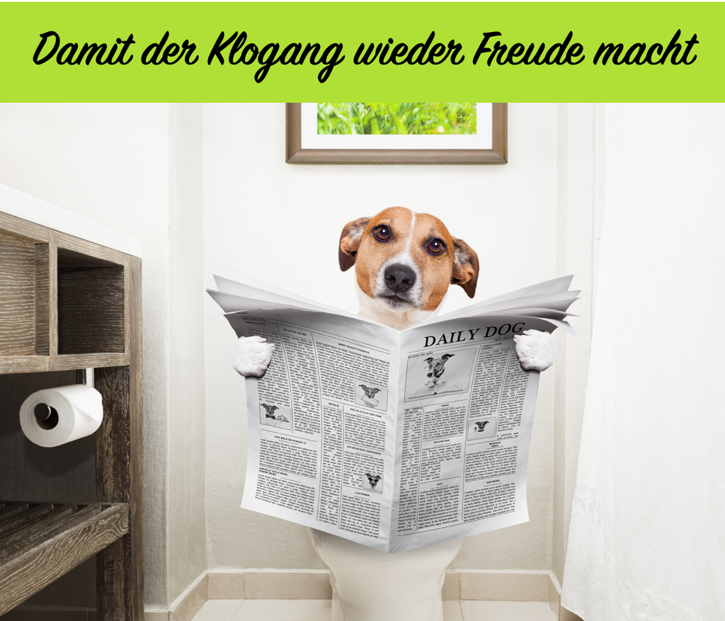 CaniMove enteral akut