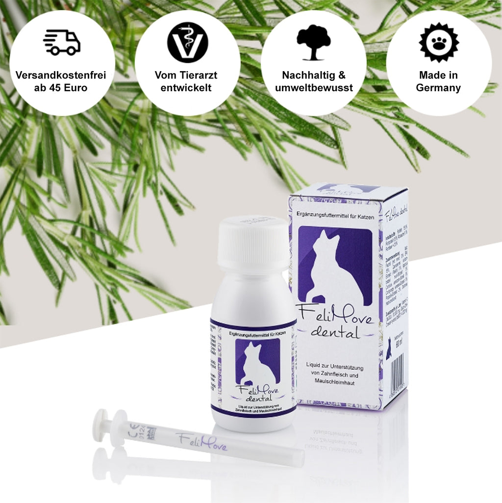 FeliMove dental