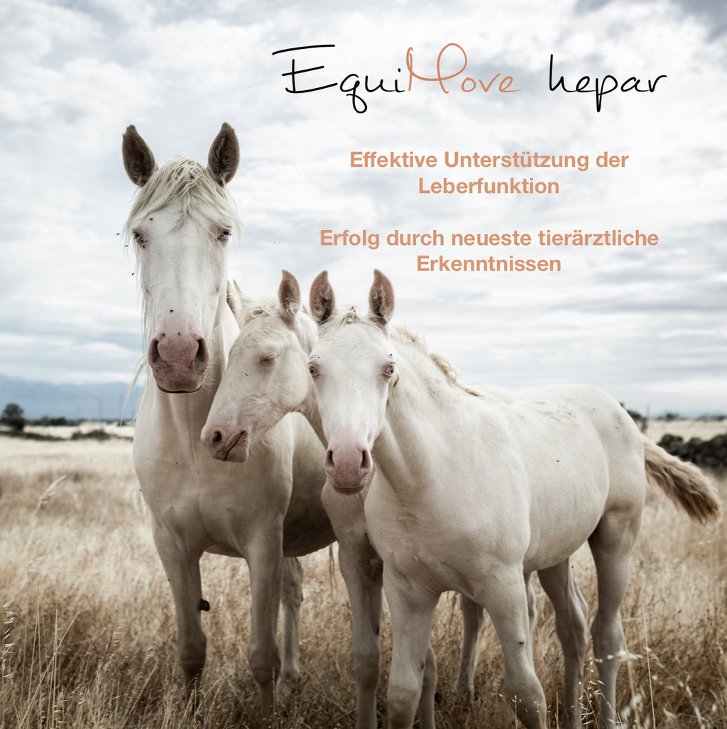 EquiMove hepar