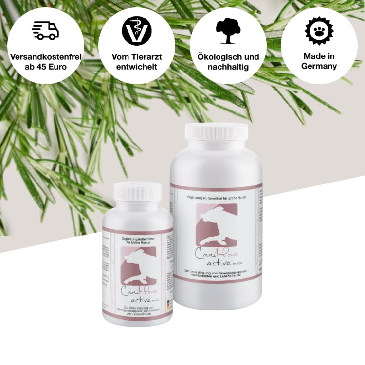 CaniMove active Mini