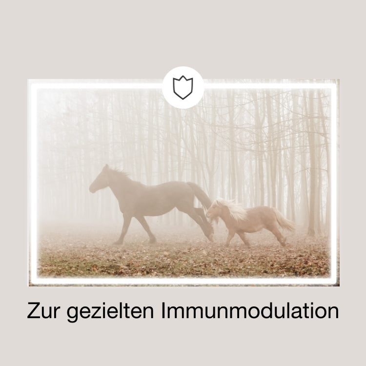 EquiMove immune