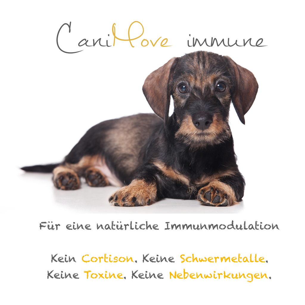 CaniMove immune