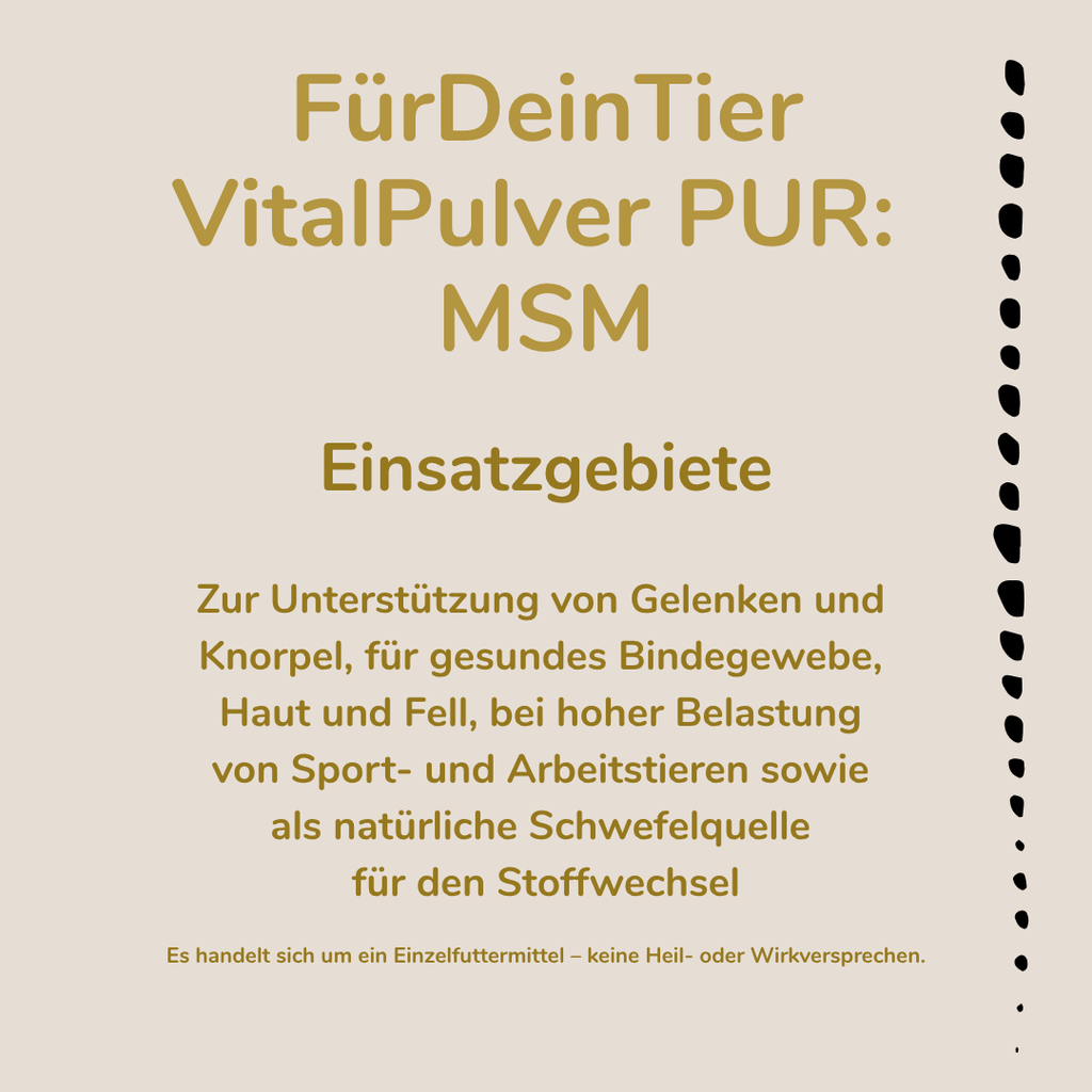MSM Vitalpulver