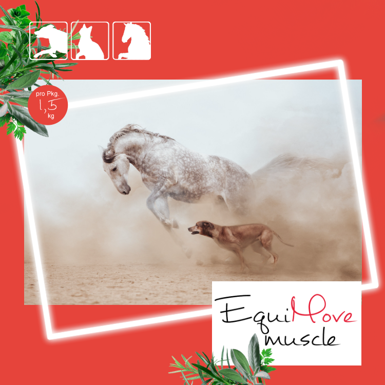EquiMove muscle