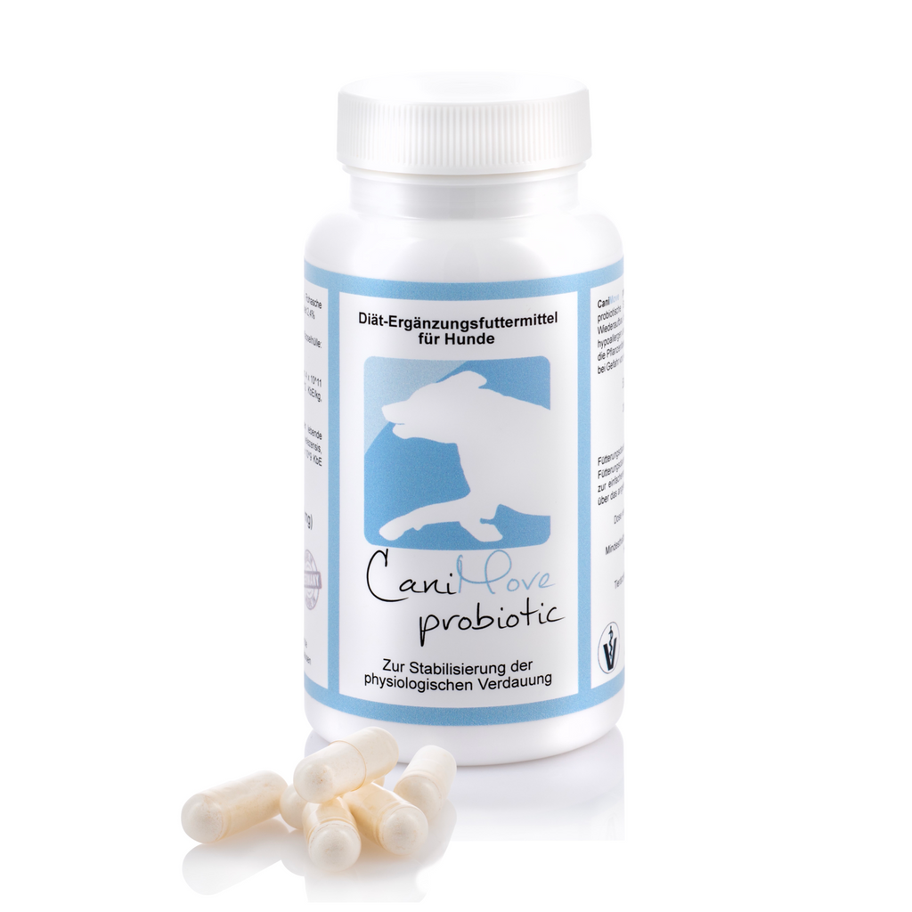 CaniMove probiotic