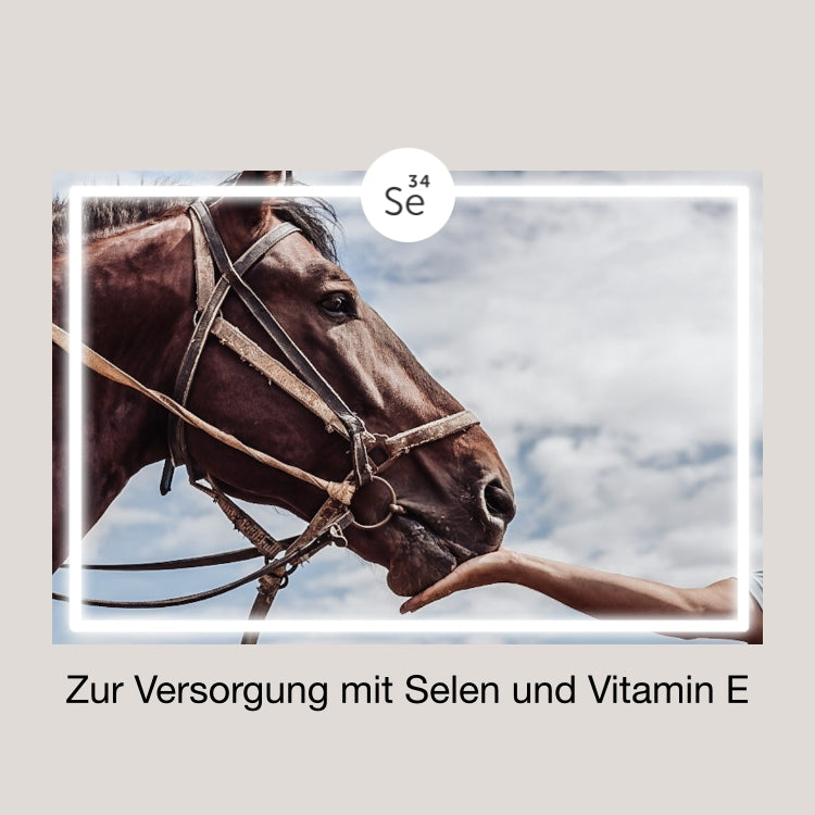 EquiMove Selen + E Nachfüllpack