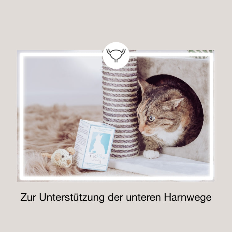 FeliMove urinary